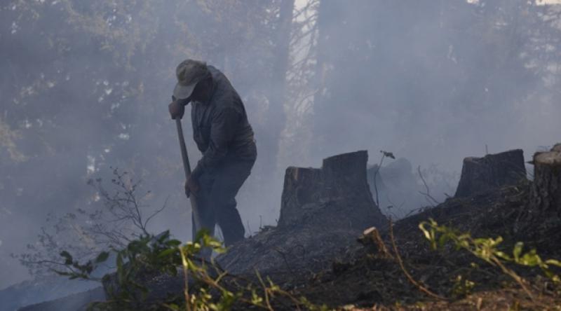 Artvin'de ormanlık alanda çıkan yangında 4 hektar alan zarar gördü