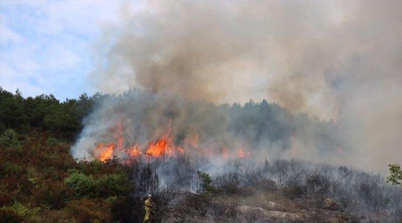 Aydos'ta yine orman yangını çıktı