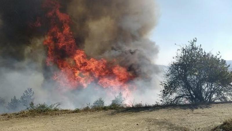 Kastamonu'da 500 hektarlık ormanlık alanda yangın çıktı
