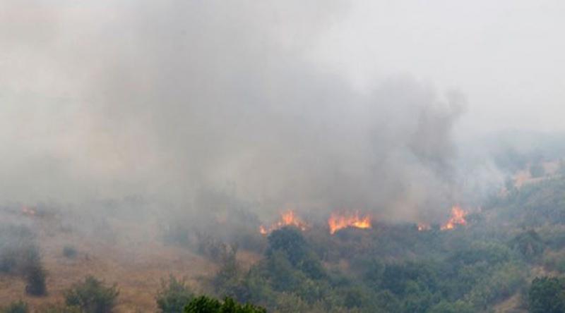 Bulgaristan Türkiye sınırındaki yangın söndürüldü