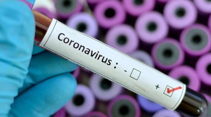 Cezayir ve Libya'da koronavirüs vakaları arttı
