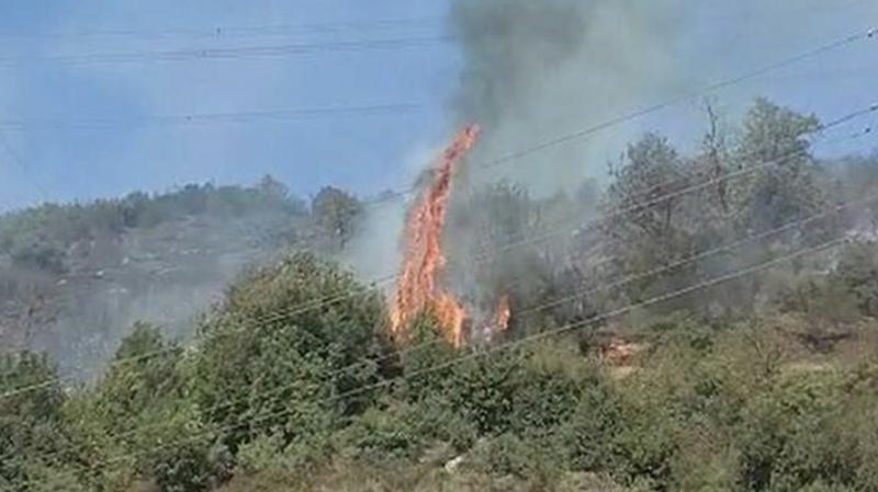 Ereğli'de 2 dönüm ormanlık alan yandı