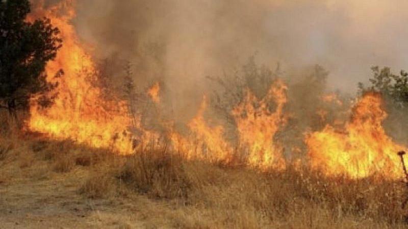 Hatay'da orman yangını... 10 hektarlık alan zarar gördü