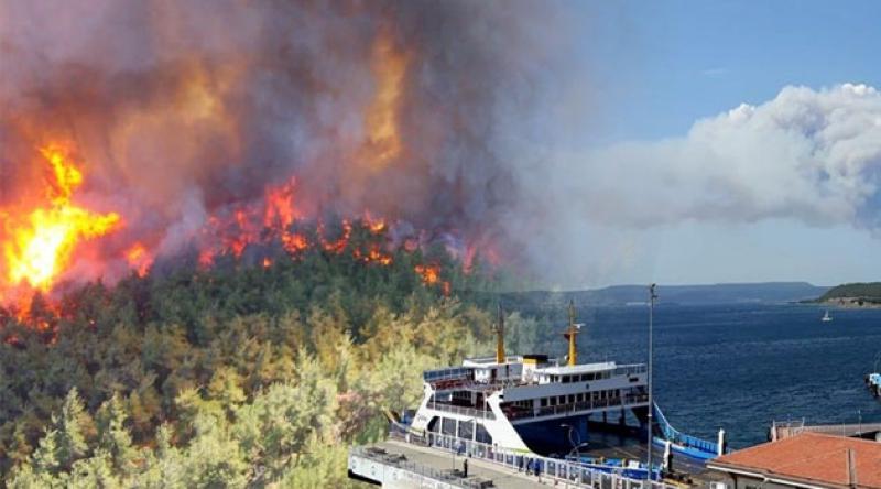 Bekir Pakdemirli: Gelibolu'da 300 hektarlık alan yandı