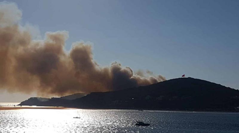 Tarım ve Orman Bakanı Pakdemirli 'den Heybeliada'da çıkan yangınla ilgili açıklama