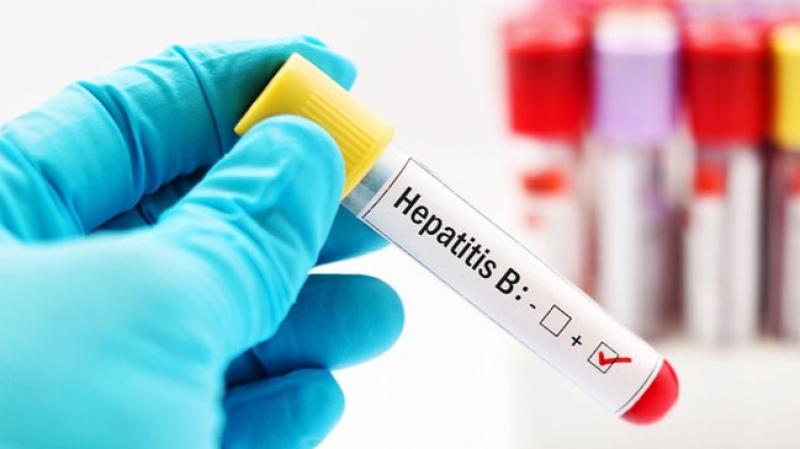 Türkiye’de 2,5 milyon hepatit B’li, 500 bin hepatit C’li hasta var