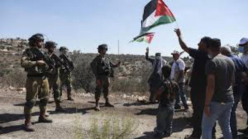 Siyonist İsrail Filistinlilerin zeytin bahçelerine girmesini engelleyen karar çıkardı