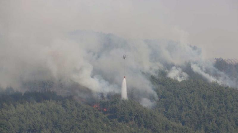 Adana'daki yangından zarar görenlere 1 milyon liralık destek