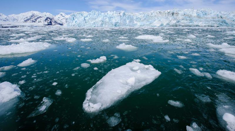 Kuzey Buz Denizi’ndeki buzlar son 40 yılın ikinci en düşük seviyesinde