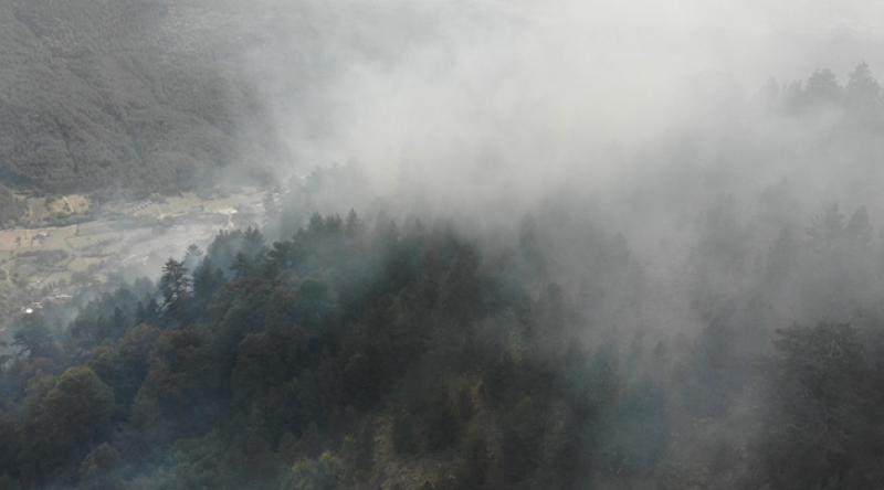 Karabük'te yıldırım düşen ormanlık alanda yangın