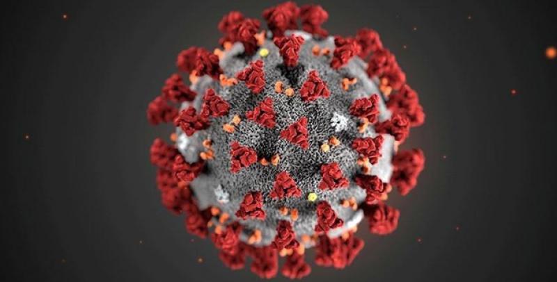 Bilim insanları, koronavirüsün vücutta ne kadar süre kaldığını açıkladı
