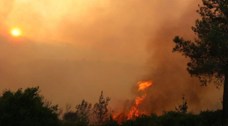 Adana'daki orman yangını söndürülemiyor