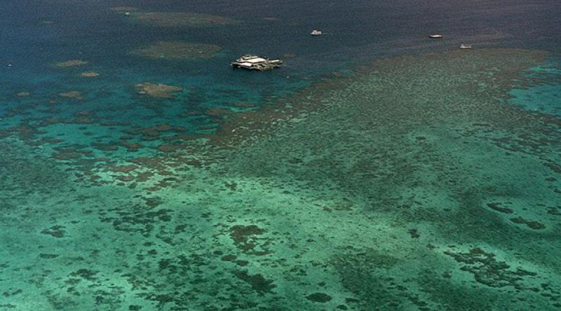 Küresel ısınma nedeniyle UNESCO korumasındaki mercanların yarısı yok oldu