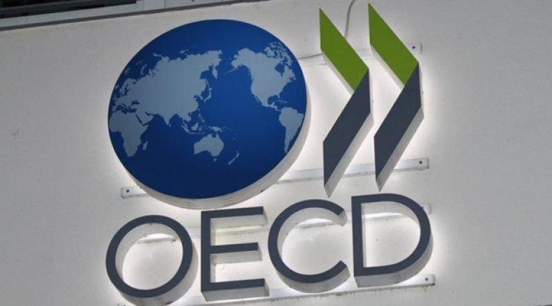 OECD Türkiye'de bu yıl yüzde 4.8 daralma bekliyor