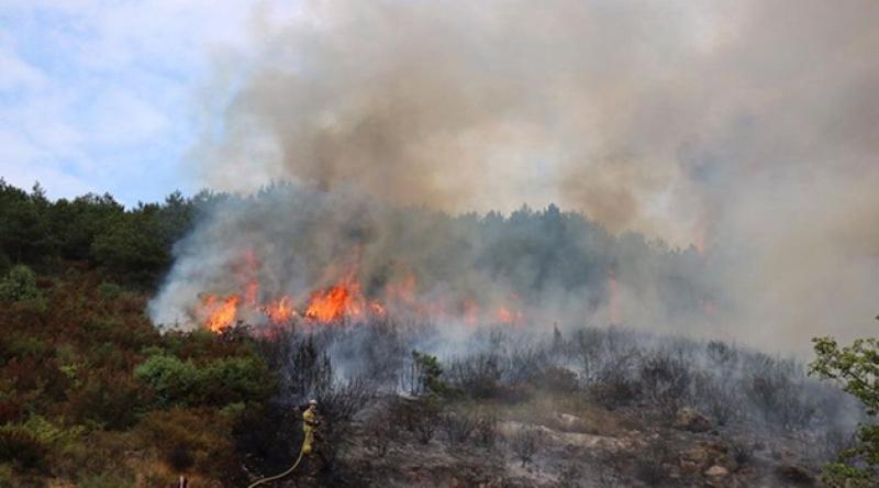 İstanbul Aydos'ta ormanlık alanda yangın