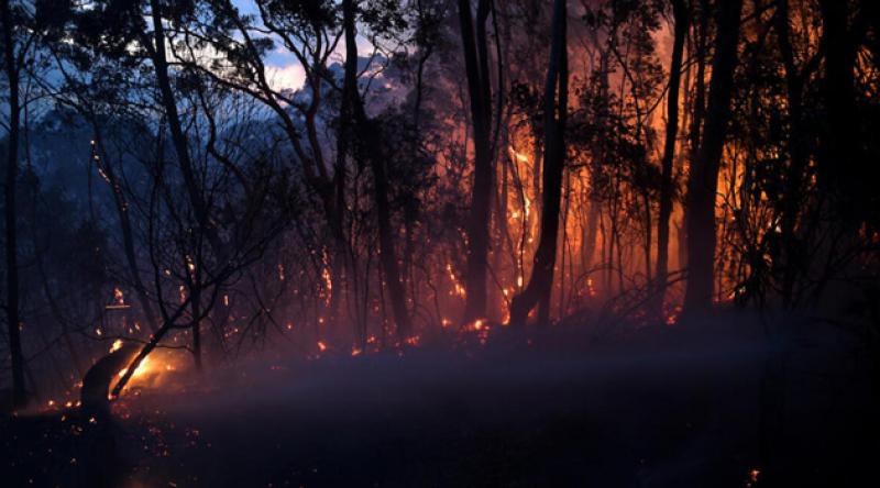 Avustralya'da orman yangınları 10 gündür sürüyor