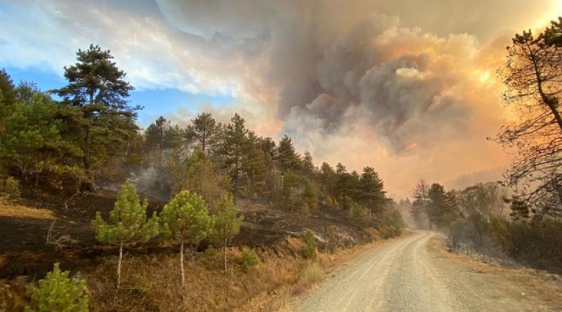 Kastamonu ve Çankırı'da orman yangını çıktı