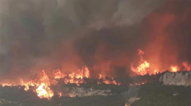 Suriye'deki orman yangınında ölü sayısı 3'e yükseldi