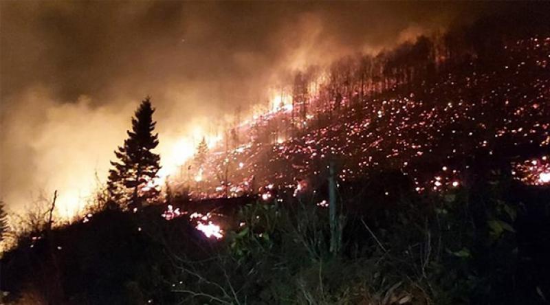Karadeniz'deki yangınlardan 15'i hala söndürülemedi