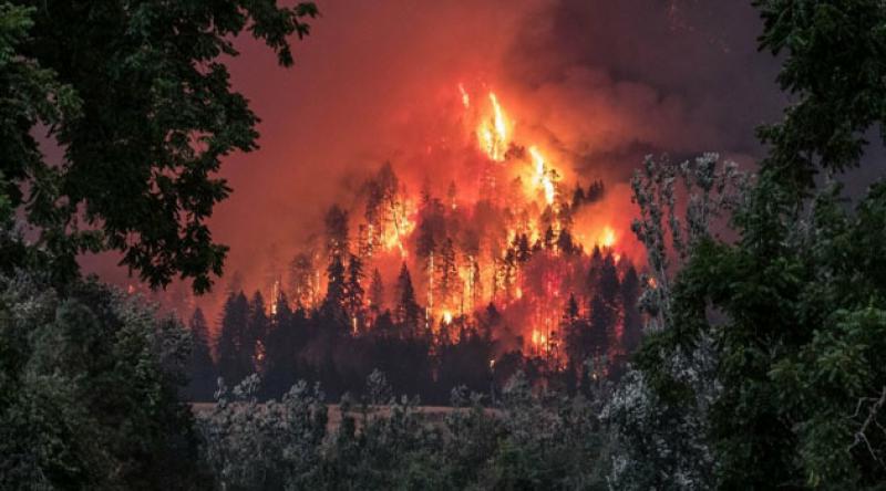 İçişleri'nden 'Orman Yangınları' genelgesi: Mangal ve ateş yakılmanın yasak olacağı yerler 15 Ağustos'a kadar belirlenecek