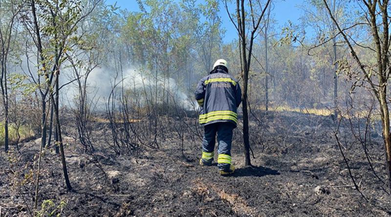 Düzce’de orman yangını: 4 hektarlık alan küle döndü