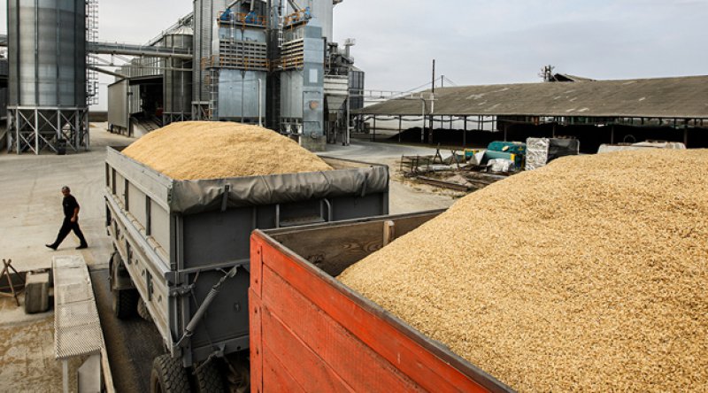Türkiye Rusya'dan 5.3 milyon ton tahıl alımı yaptı