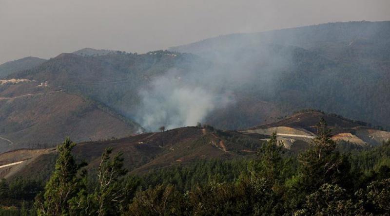 Suriye'de orman yangınları sürüyor: 2 ölü, 70 yaralı