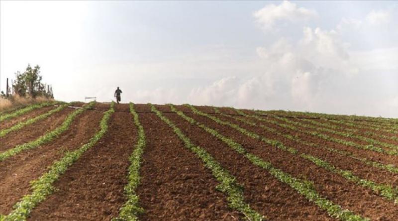 İşgalci İsrail, Gazze'de tarım arazilerine zarar veriyor
