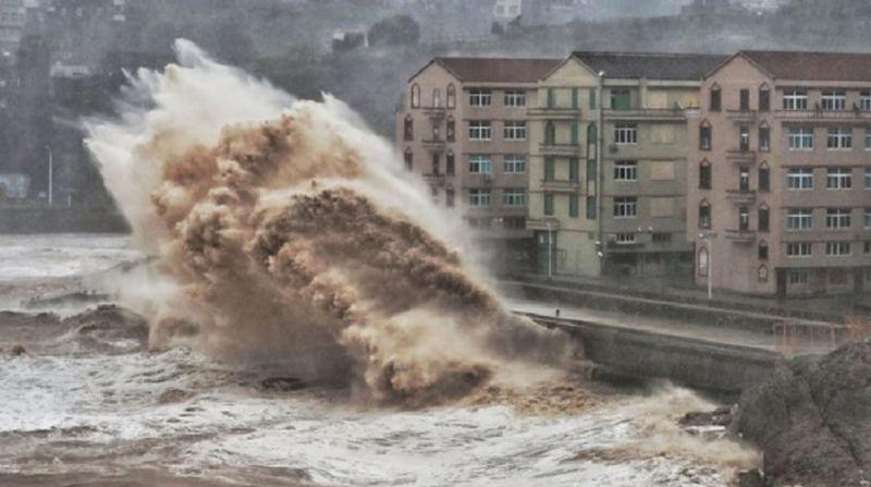 Çin'de Lekima tayfunu: 13 ölü