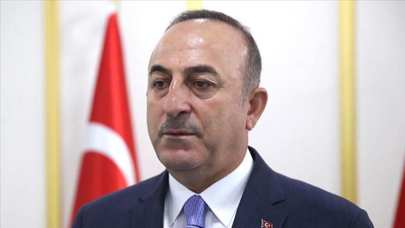 Dışişleri Bakanı Çavuşoğlu: 7 ülkeden 3 bin 358 öğrenci Türkiye'ye getirilecek