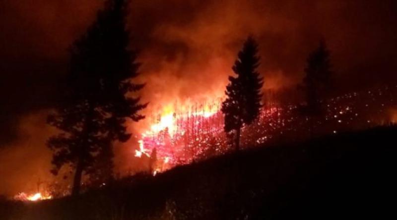 Trabzon'daki 68 yangın tamamen söndürüldü