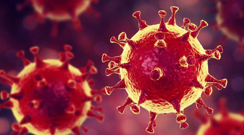 İsveç’te son 24 saatte koronavirüsten 107 ölüm