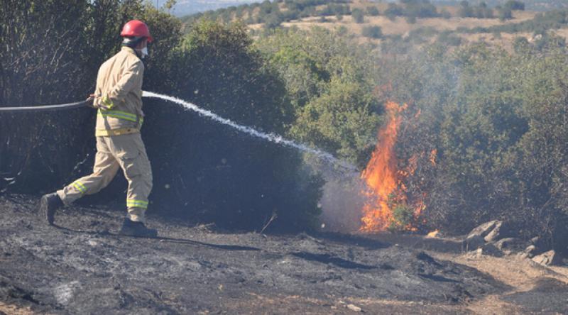 Çanakkale'nin Ezine ilçesinde 2 hektarlık alan yandı