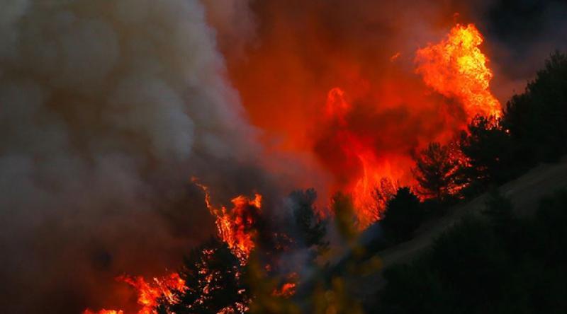 Bakan Pakdemirli: Bugün başlayan 11 orman yangınının 10’u kontrol altına alındı