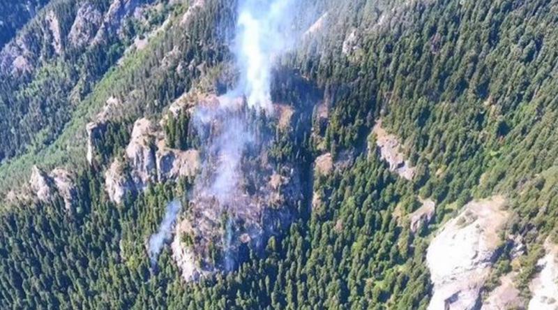 Artvin’deki orman yangını 3 gündür devam ediyor