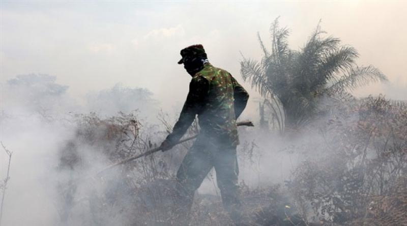 Endonezya'da orman yangınları devam ediyor: Yoğun duman nedeniyle uçak seferleri iptal edildi