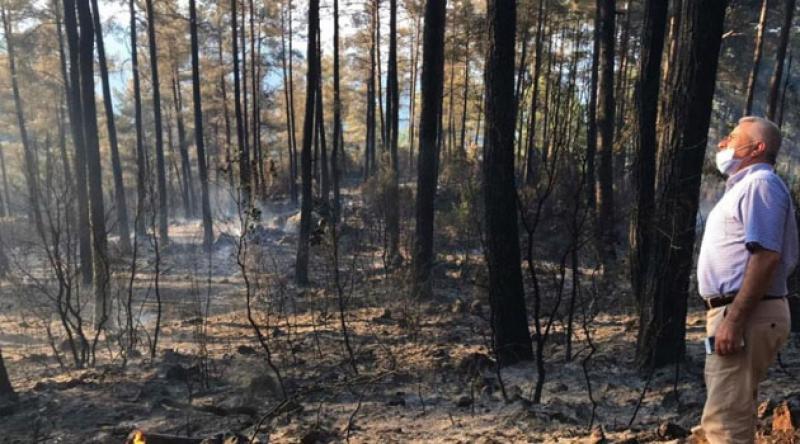 Mangal ateşi 46 dönüm araziyi kül etti
