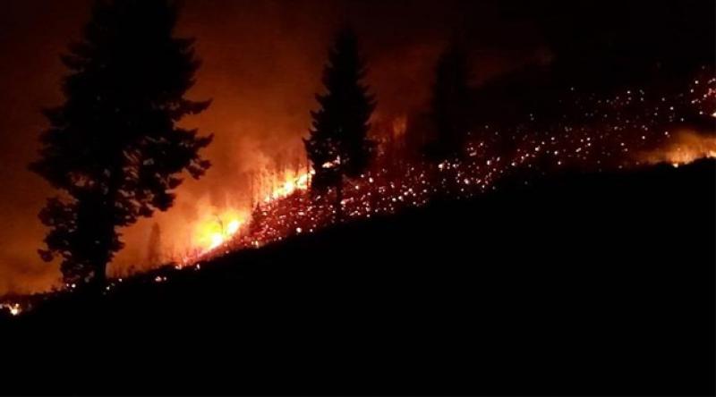 Trabzon’da aynı anda 22 ayrı orman yangını çıktı, ikisi yerleşim yerlerini tehdit ediyor