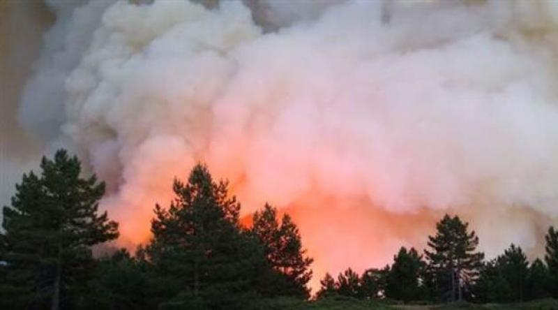 Kastamonu'da meydana gelen orman yangını 6 saat sonra söndürüldü