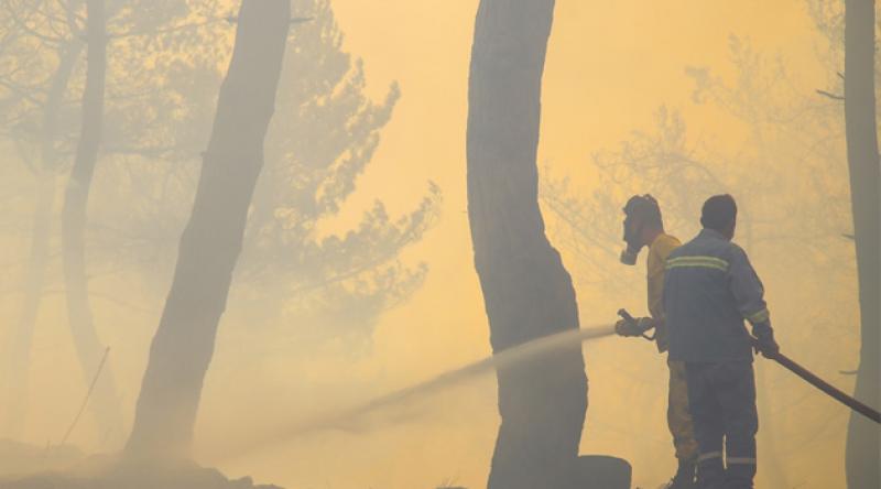 Hatay'da dün başlayan orman yangınını söndürme çalışmaları sürüyor: 'Gözaltılar var'
