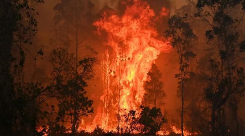 Avustralya yanıyor, binlerce insan deniz kenarına sığındı