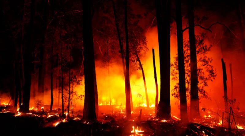 Avustralya yangınları: 'Mega yangın' öncesi 240 bin kişiye tahliye çağrısı yapıldı