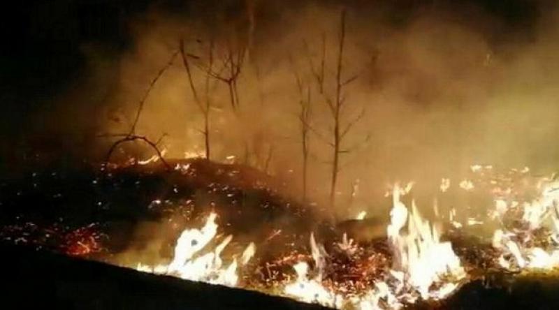 İçişleri Bakanlığı'ndan Karadeniz'deki yangınlarla ilgili açıklama