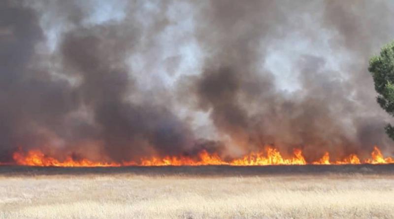 Antalya'da korkutan yangın: Tarım arazisinde başlayıp ormanlık alana sıçradı