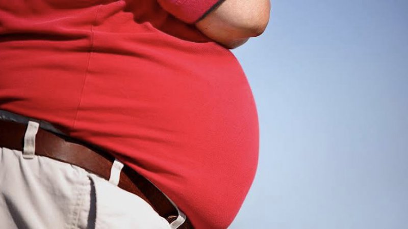 “Türkiye’de üç kişiden biri obez“