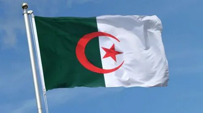 Cezayir ordusu: Fransa, Cezayir'i sömürgeleştiremediği için yeniden tarih kurgulamak istiyor