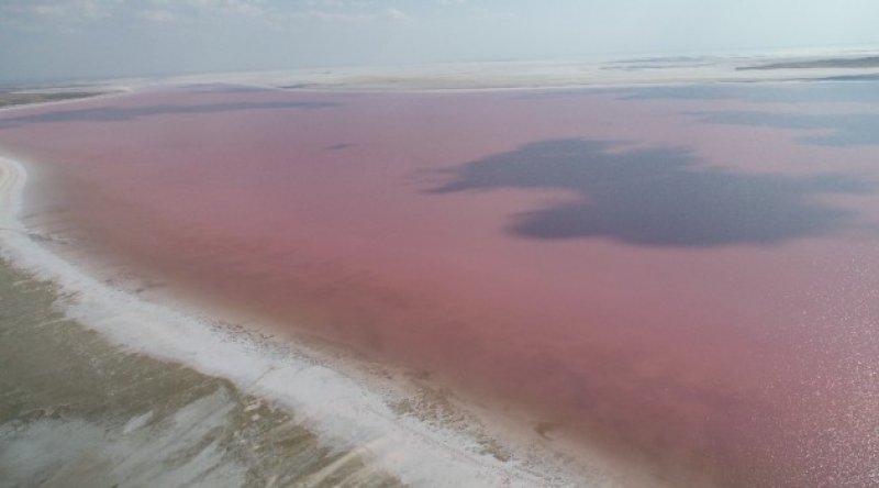 Burdur Gölü'nde alg patlaması: Rengi değişti