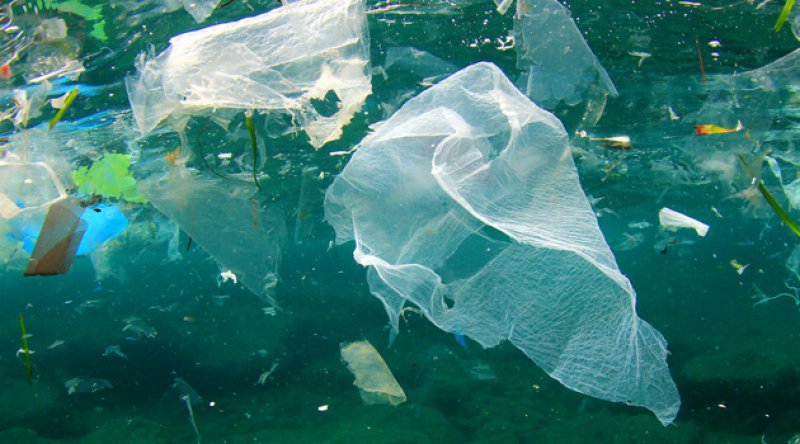 Okyanuslarda bulunan plastik çöplerin neredeyse yarısı 'paket yiyecek ve içecek kaynaklı'