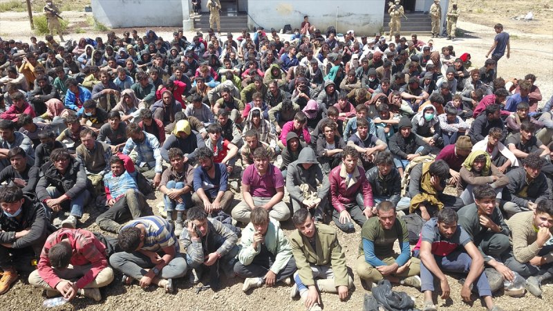 Türkiye sınırında çok sayıda Afgan göçmen yakalandı