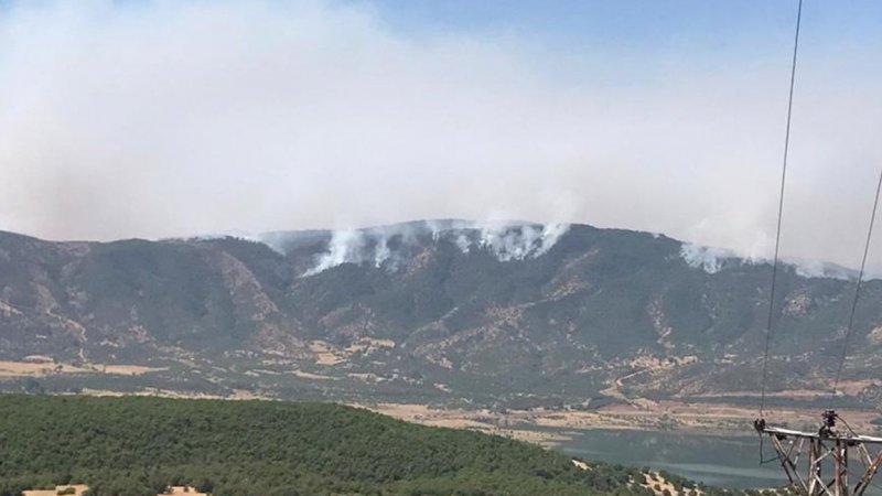 Bingöl Valiliği'nden orman yangını açıklaması: Yaklaşık 2 bin 500 hektar alan etkilendi
